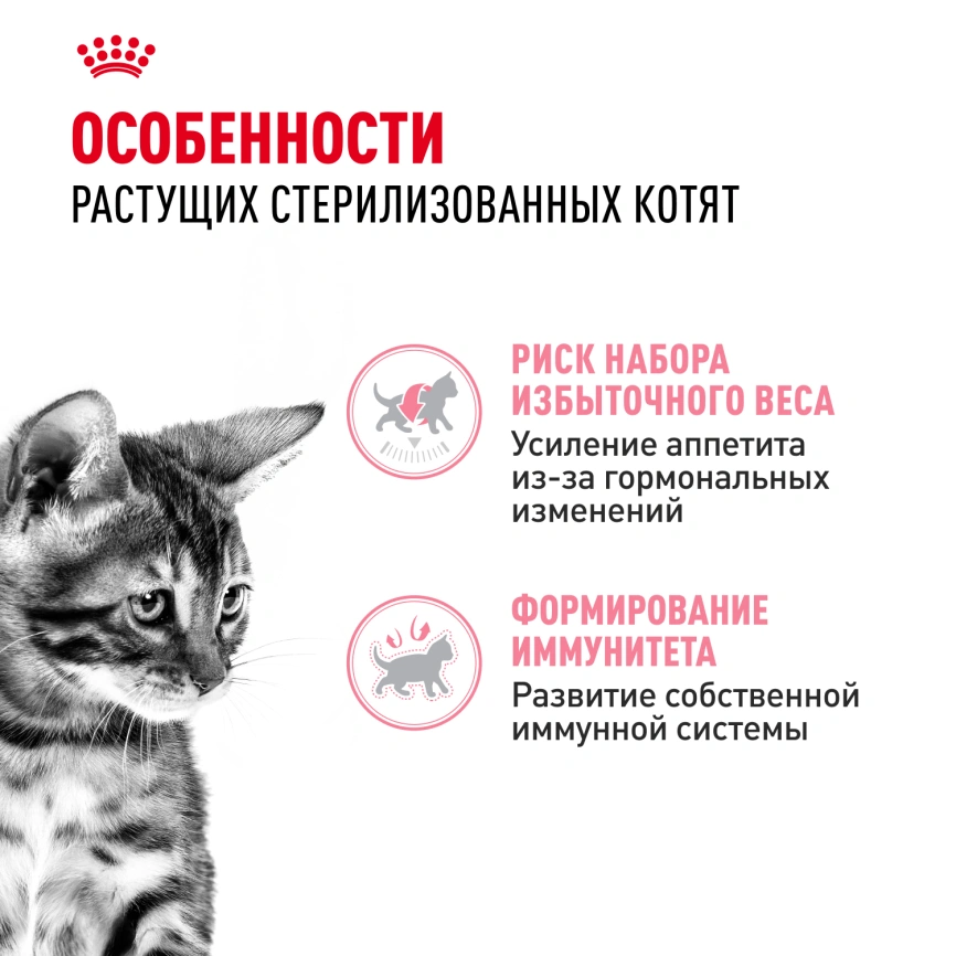 Влажный корм Royal Canin Kitten Sterilised в желе для стерилизованных котят до 12 месяцев, пауч, 85 г фото 2