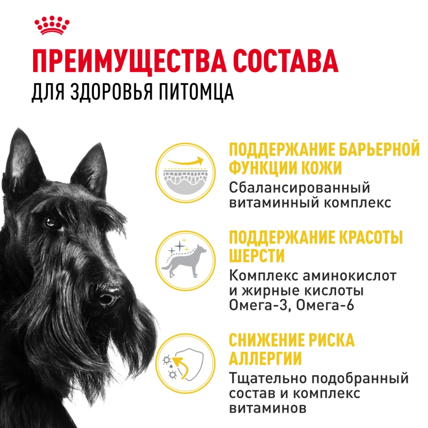 Сухой корм Royal Canin Mini Dermacomfort для собак, 3 кг фото 3