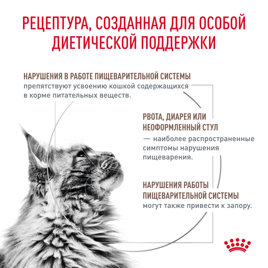 Сухой корм Royal Canin Gastrointestinal Fibre Response для кошек, 350 г фото 4