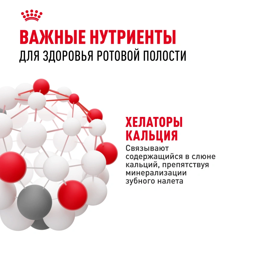 Сухой корм Royal Canin Mini Dental Care для собак, 3 кг фото 5