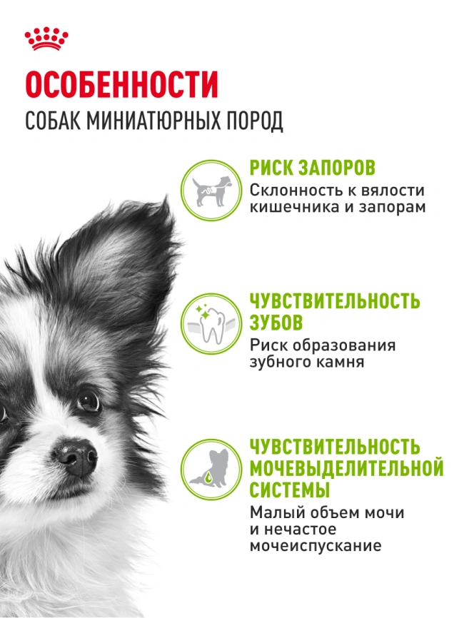 Сухой корм Royal Canin X-Small Adult для собак, 3 кг фото 14