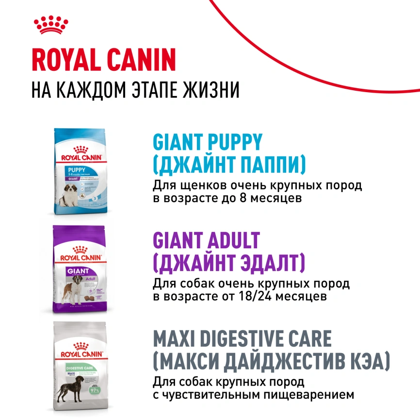 Сухой корм Royal Canin Giant Junior для щенков, 3.5 кг фото 8