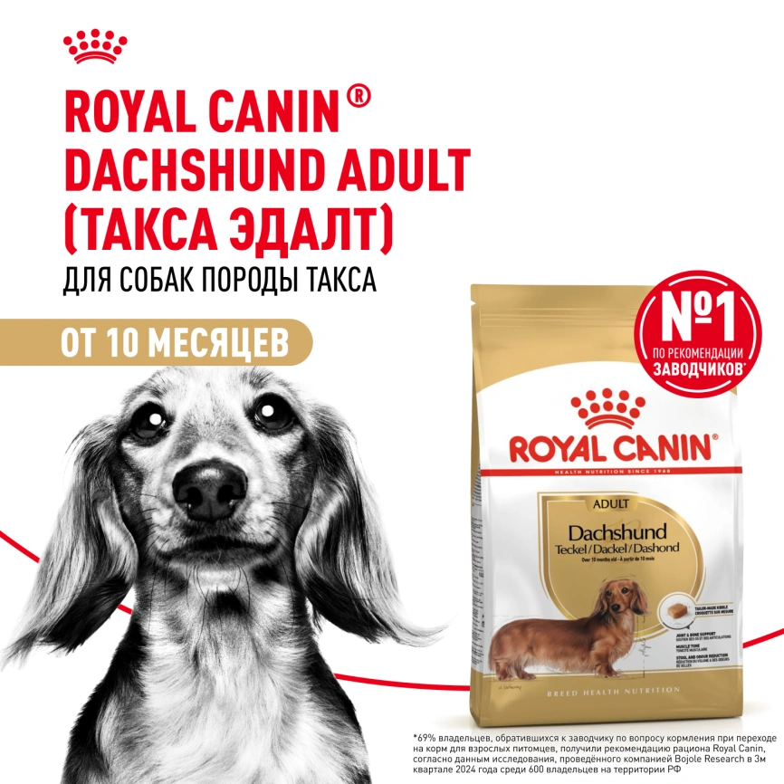 Сухой корм Royal Canin Dachshund Adult для собак породы такса, 1.5 кг фото 13