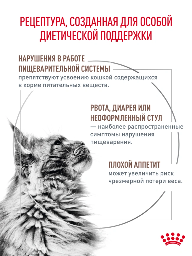 Сухой корм Royal Canin Gastrointestinal для кошек, 2 кг фото 22