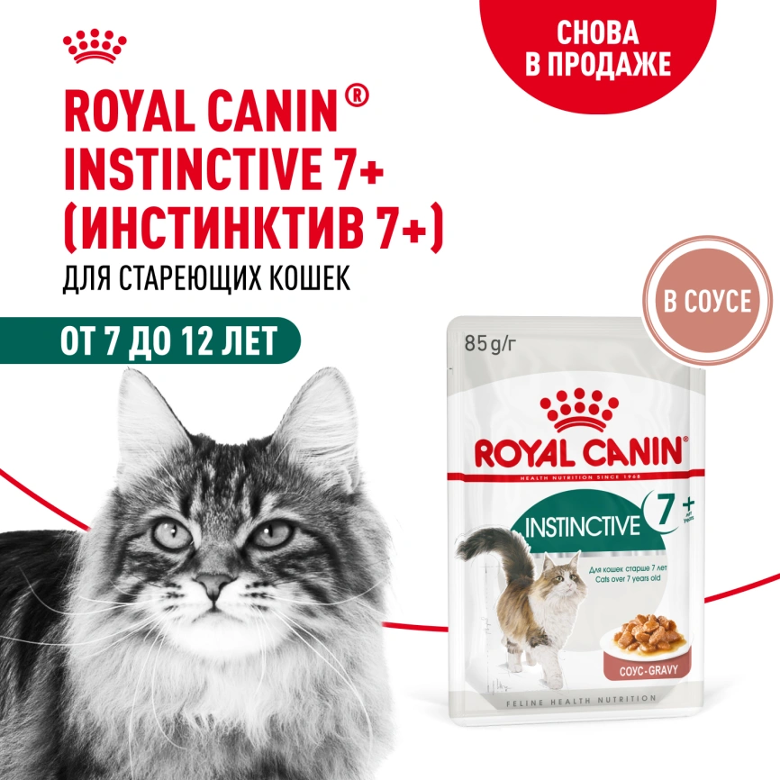 Влажный корм Royal Canin Instinctive 7+ в соусе для кошек старше 7 лет, пауч, 85 г фото 12