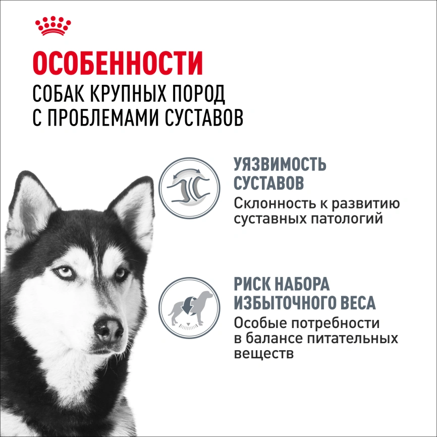 Сухой корм Royal Canin Maxi Joint Care для собак, 10 кг фото 2