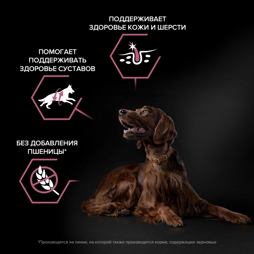 Сухой корм Purina Pro Plan Large Athletic Adult Sensitive Skin Salmon для крупных собак (атлетическое сложение), лосось, 18 кг фото 4