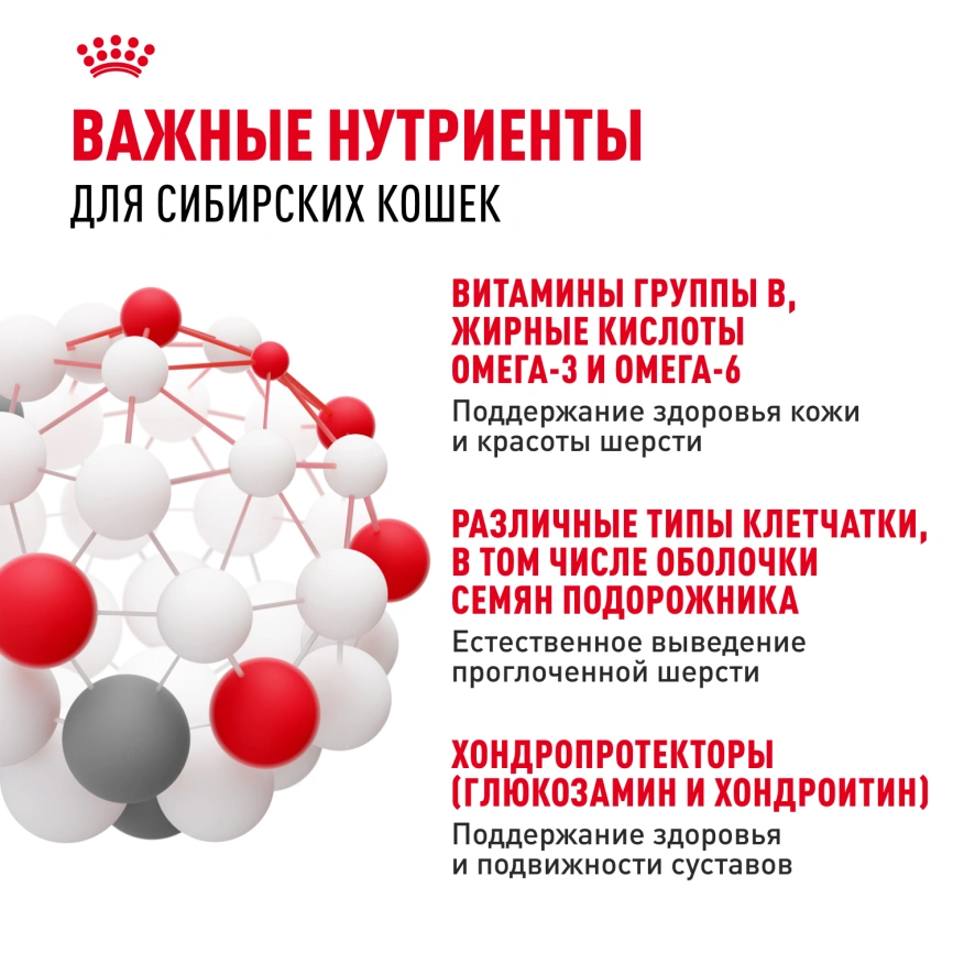 Сухой корм Royal Canin Siberian для кошек, 400 г фото 5