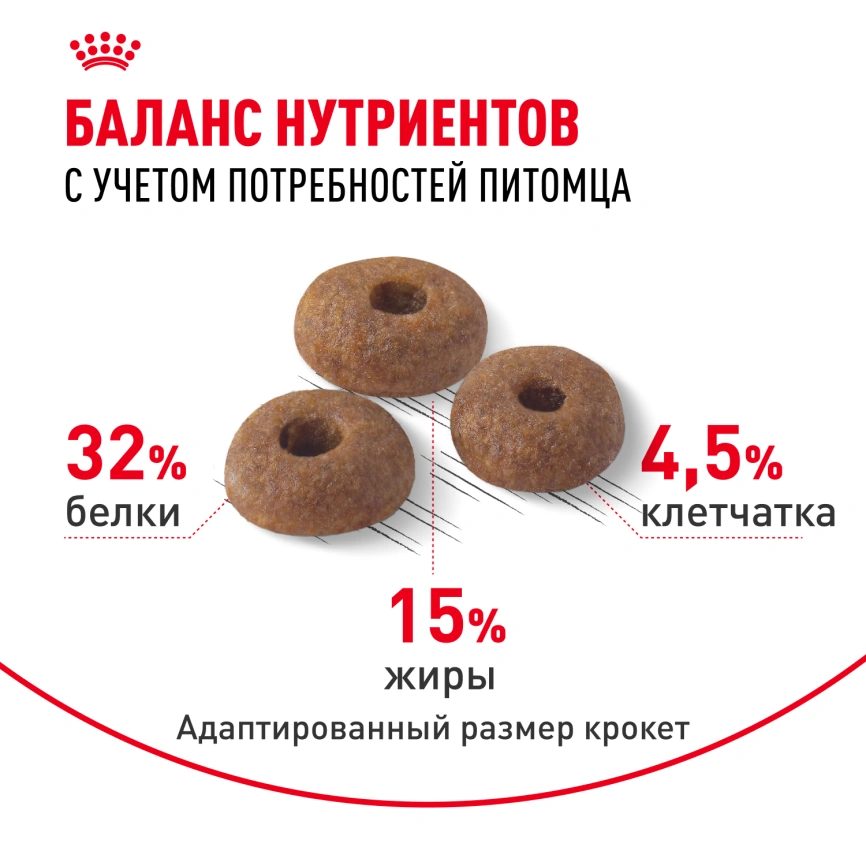 Сухой корм Royal Canin Fit для кошек, 15 кг фото 4