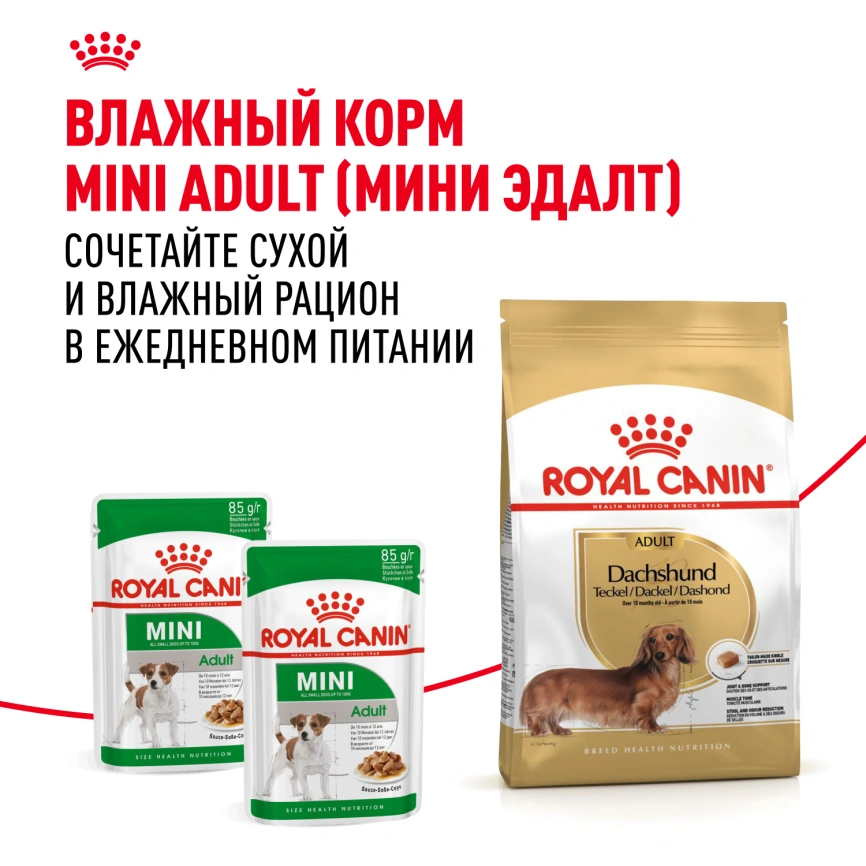 Сухой корм Royal Canin Dachshund Adult для собак породы такса, 1.5 кг фото 8