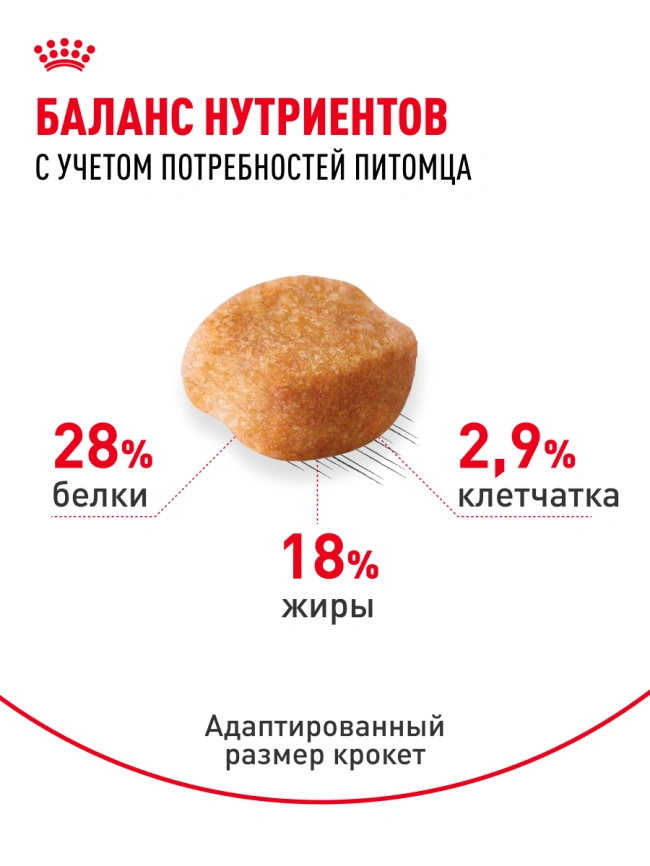 Сухой корм Royal Canin Yorkshire Terrier Adult для взрослых собак, 500 г фото 19