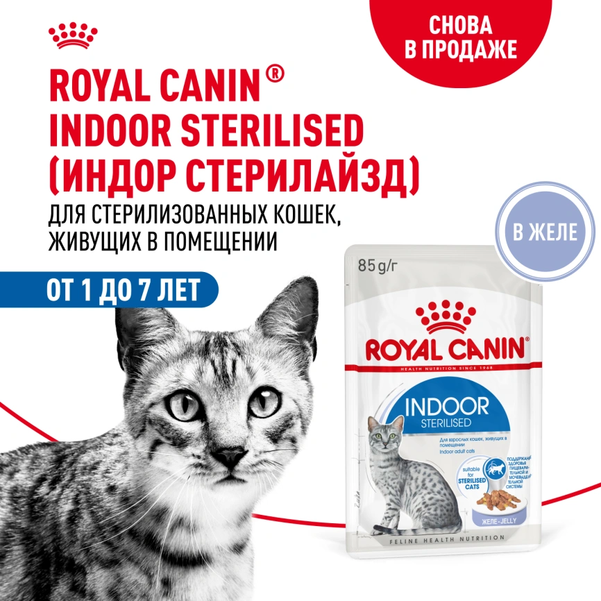 Влажный корм Royal Canin Indoor в желе для кошек, живущих в помещении, пауч, 85 г фото 16