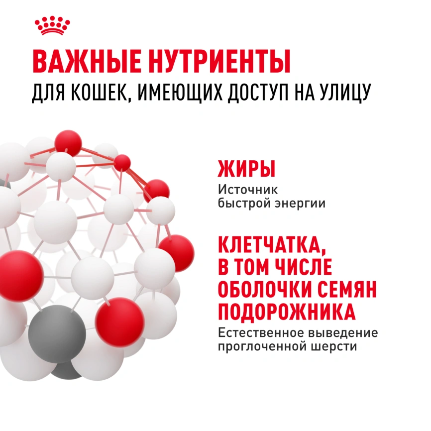 Сухой корм Royal Canin Fit для кошек, 2 кг фото 5