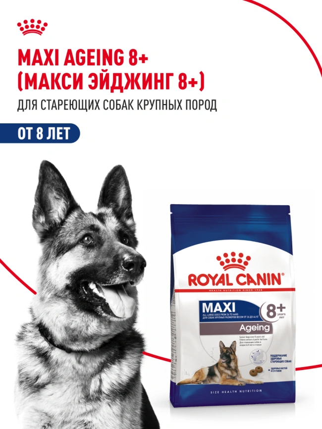 Сухой корм Royal Canin Maxi Ageing 8+ для собак, 15 кг фото 11