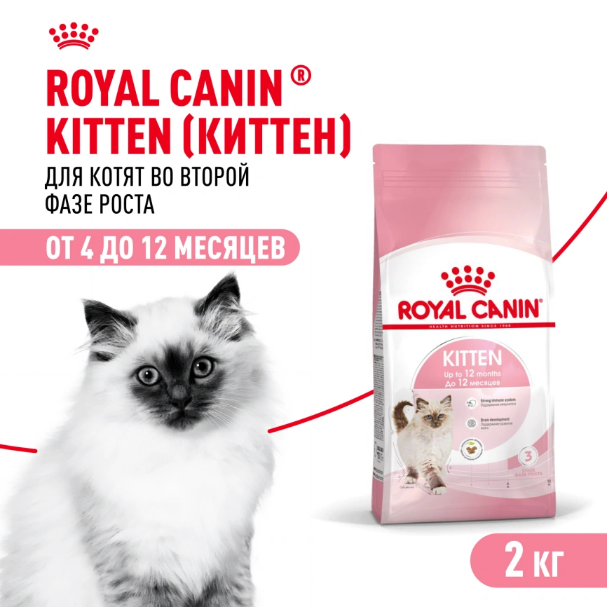 Сухой корм Royal Canin Kitten для котят, 2 кг фото 1