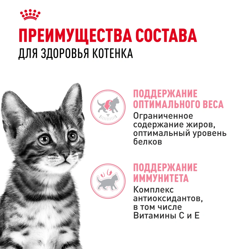 Влажный корм Royal Canin Kitten Sterilised в желе для стерилизованных котят до 12 месяцев, пауч, 85 г фото 3