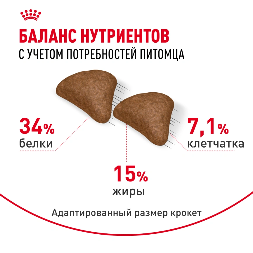 Сухой корм Royal Canin Hairball Care для кошек, 2 кг фото 4
