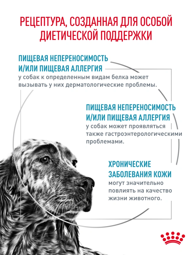 Сухой корм Royal Canin Hypoallergenic для собак, 14 кг фото 16