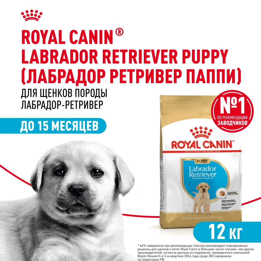 Сухой корм Royal Canin Labrador Retriever Puppy для щенков, 12 кг фото 1