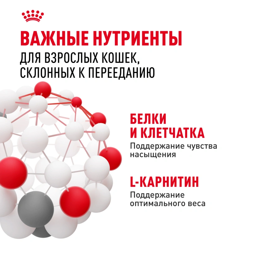 Сухой корм Royal Canin Appetite Control Care для кошек для контроля аппетита, 2 кг фото 5