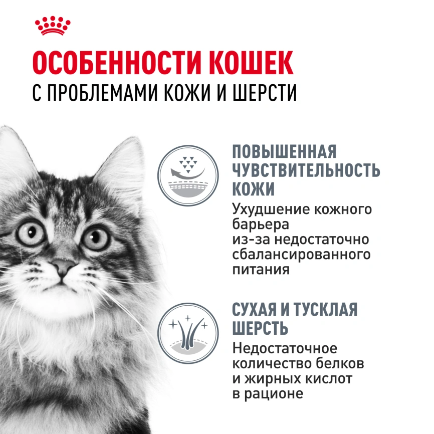 Сухой корм Royal Canin Hair & Skin Care для кошек, 2 кг фото 2