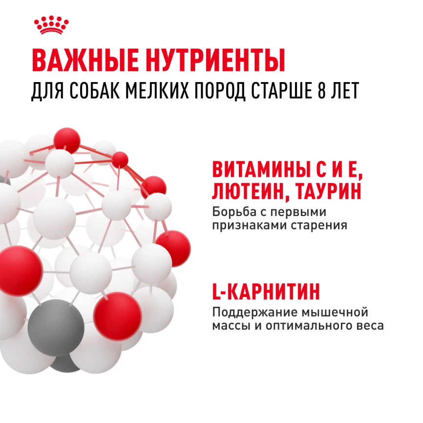Сухой корм Royal Canin Mini Adult 8+ для пожилых собак, 2 кг фото 4
