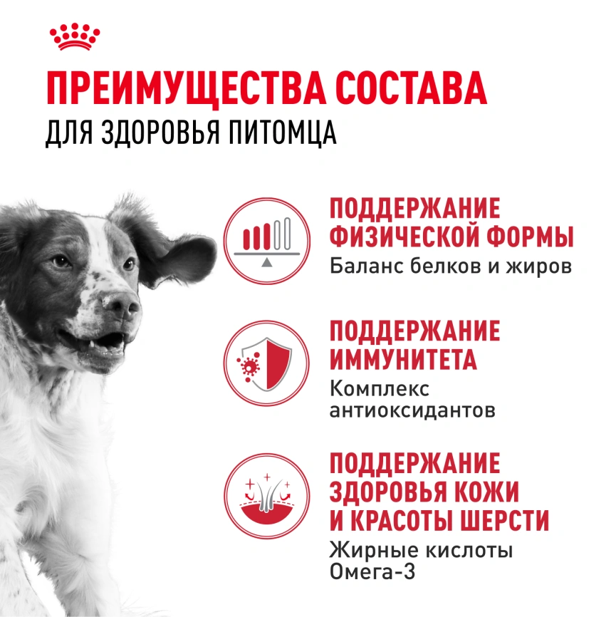 Сухой корм Royal Canin Medium Adult для собак, 3 кг фото 3