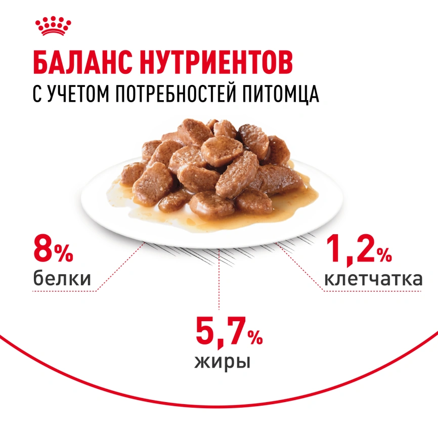 Влажный корм Royal Canin Mini Ageing 12+ в соусе для стареющих собак мелких пород старше 12 лет, пауч, 85 г фото 4