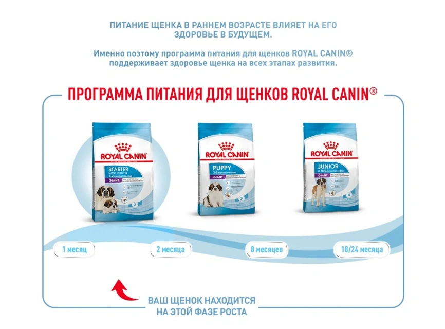 Сухой корм Royal Canin Giant Starter Mother & Babydog для щенков и собак, 4 кг фото 8