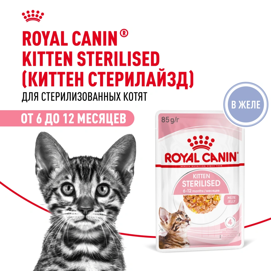 Влажный корм Royal Canin Kitten Sterilised в желе для стерилизованных котят до 12 месяцев, пауч, 85 г фото 13