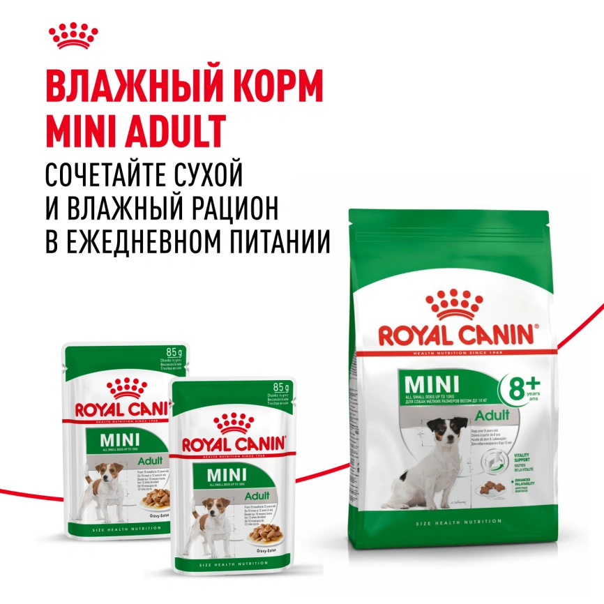 Сухой корм Royal Canin Mini Adult 8+ для пожилых собак, 2 кг фото 6