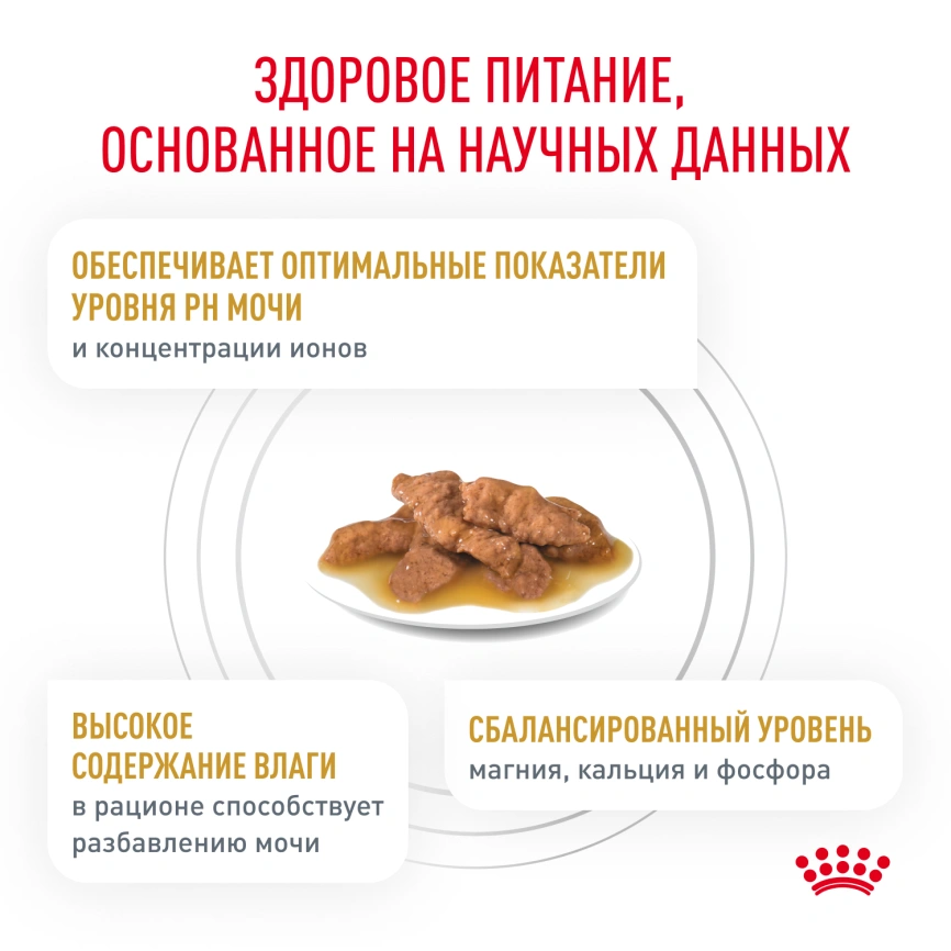 Влажный корм Royal Canin Urinary S/O в соусе для кошек при мочекаменной болезни, пауч, 85 г фото 3