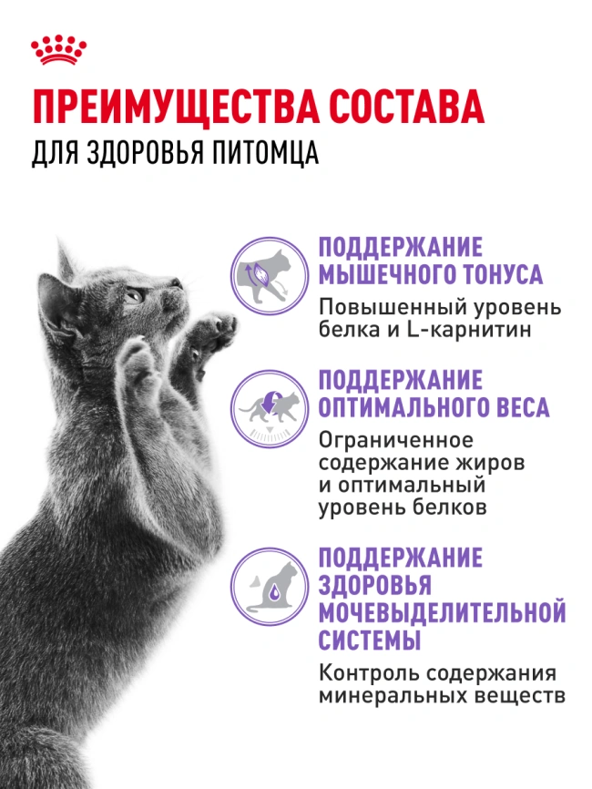 Сухой корм Royal Canin Sterilised для кастрированных котов и стерилизованных кошек, 2 кг фото 23