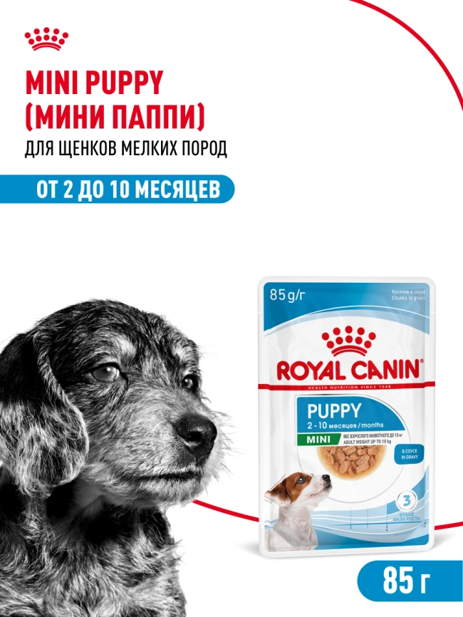Влажный корм Royal Canin Mini Puppy в соусе для щенков мелких пород до 10 месяцев, пауч, 85 г фото 17