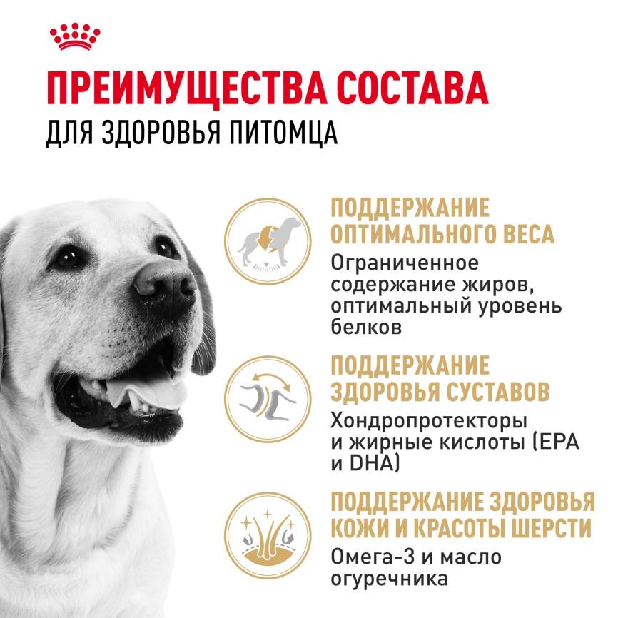 Сухой корм Royal Canin Labrador Retriever Adult для собак, 12 кг фото 3