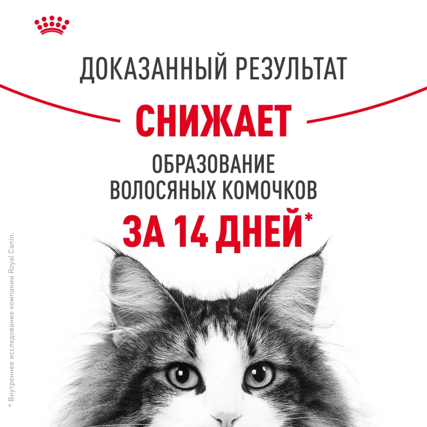 Сухой корм Royal Canin Hairball Care для кошек, 2 кг фото 11