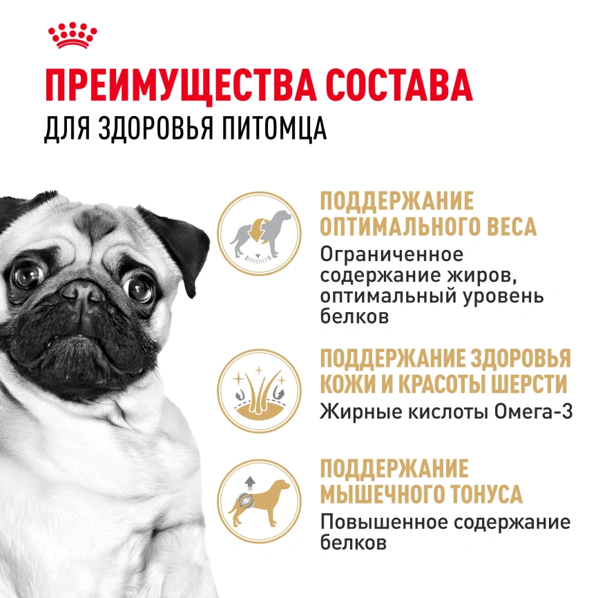 Сухой корм Royal Canin Pug Adult для взрослых собак, 500 г фото 3