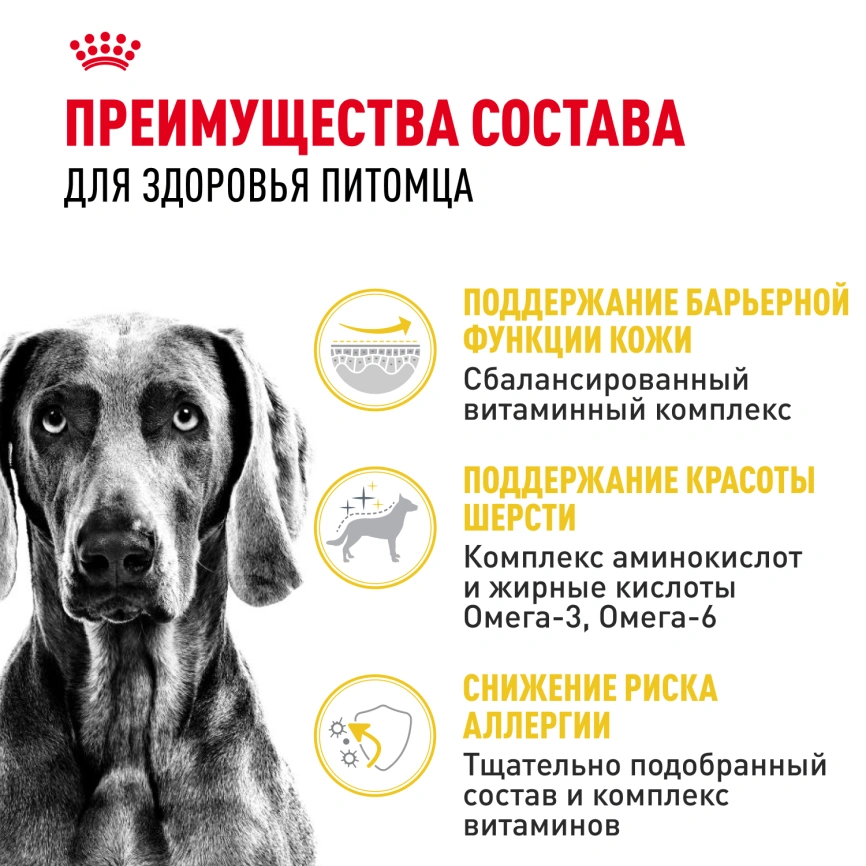 Сухой корм Royal Canin Maxi Dermacomfort для собак, 10 кг фото 3