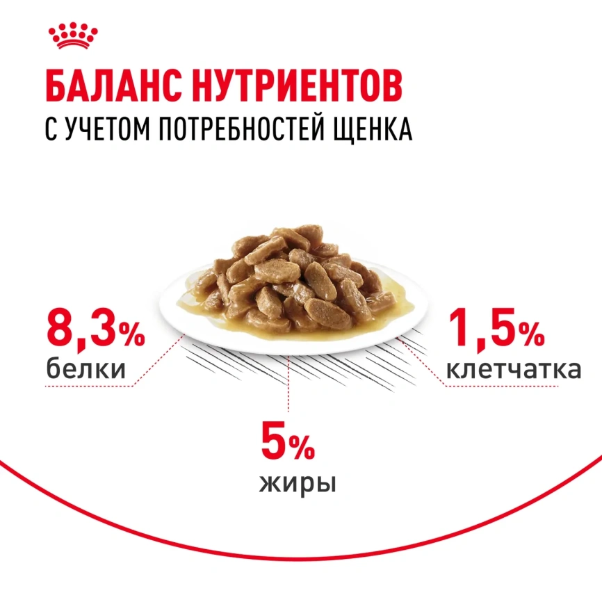 Влажный корм Royal Canin Maxi Puppy для щенков крупных пород в соусе, 100 г фото 6