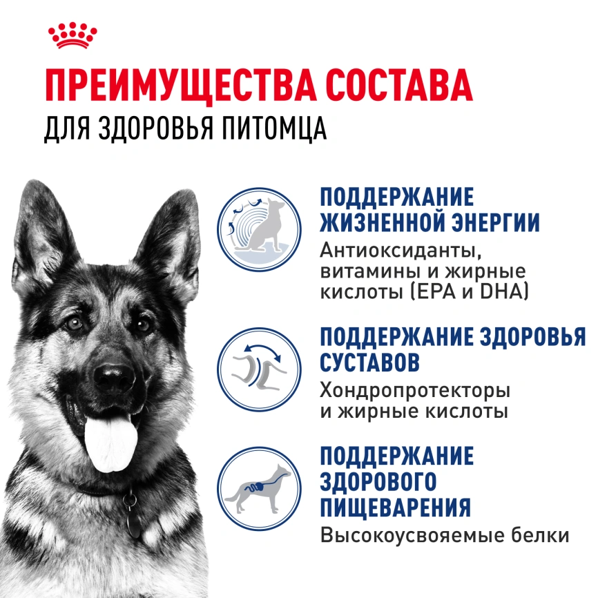 Сухой корм Royal Canin Maxi Ageing 8+ для собак, 3 кг фото 3