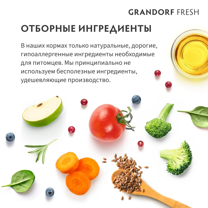 Сухой корм Grandorf Fresh Cat для взрослых кошек чувствительное пищеварение или склонность к аллергии ягненок с бататом 2 кг фото 7