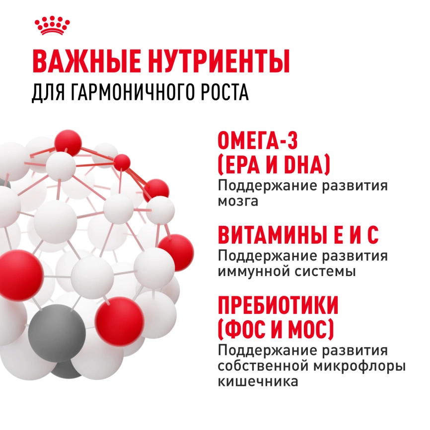 Влажный корм Royal Canin Mini Puppy в соусе для щенков мелких пород до 10 месяцев, пауч, 85 г фото 9