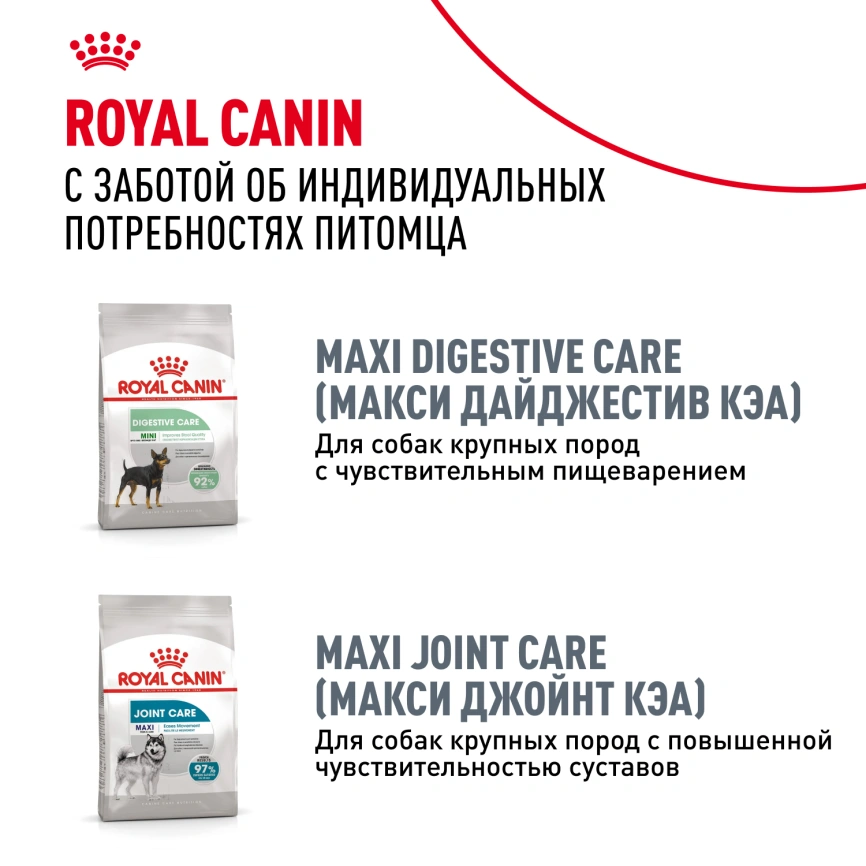 Сухой корм Royal Canin Maxi Dermacomfort для собак, 10 кг фото 9