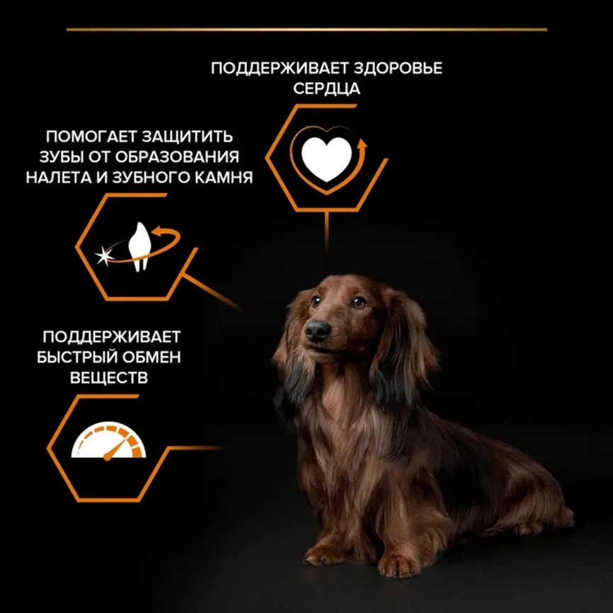 Сухой корм Purina Pro Plan Adult Small & Mini  для взрослых собак средних и мелких пород, курица и рис, 700 г фото 2