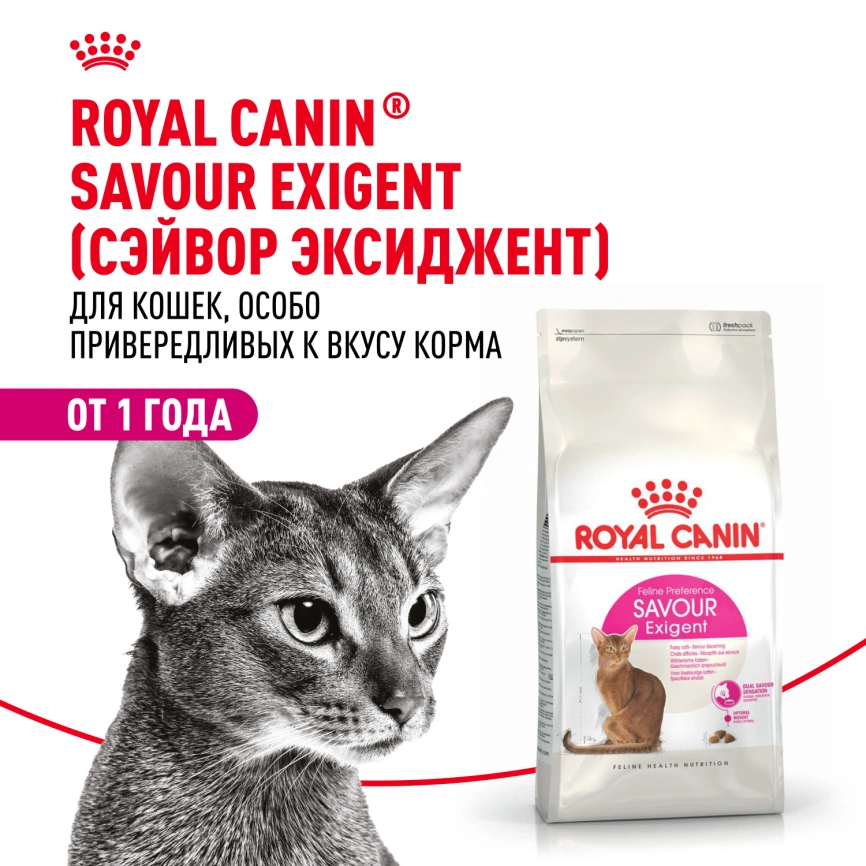 Сухой корм Royal Canin Savour Exigent для кошек, 4 кг фото 12