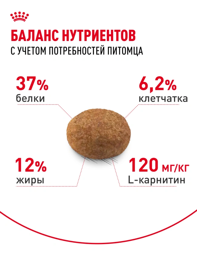 Сухой корм Royal Canin Sterilised для кастрированных котов и стерилизованных кошек, 2 кг фото 24