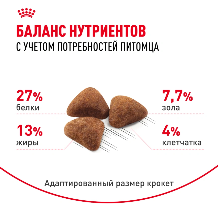 Сухой корм Royal Canin Indoor для кошек, 10 кг фото 4