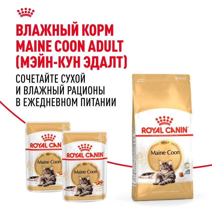 Сухой корм Royal Canin Maine Coon для кошек, 2 кг фото 8