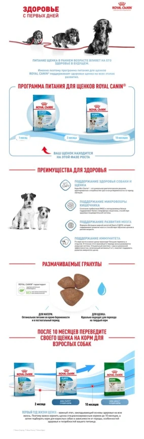 Сухой корм Royal Canin Mini Starter Mother & Babydog для щенков и кормящих сук, 3 кг фото 2