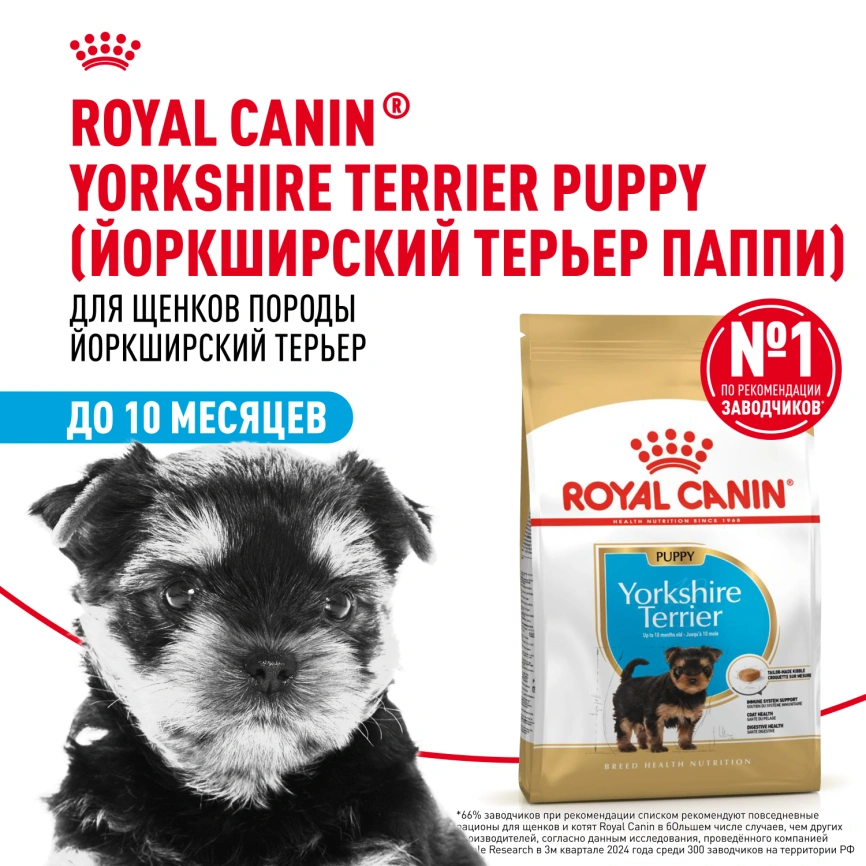 Сухой корм Royal Canin Yorkshire Terrier Puppy для щенков, 500 г фото 13